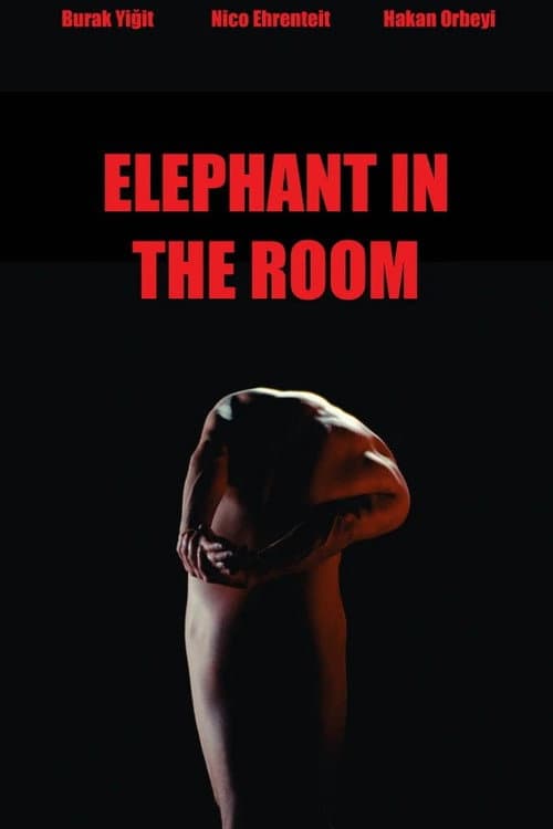 Poster for Elephant in the Room