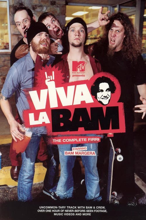 Poster for Viva La Bam