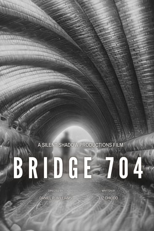 Poster for Bridge 704