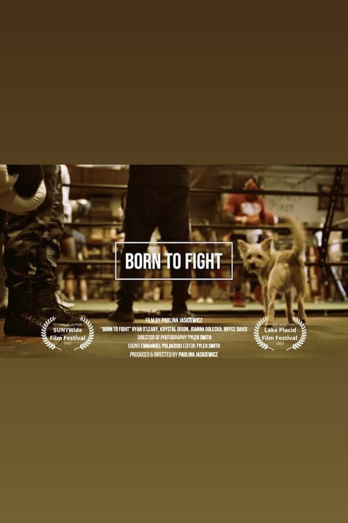 Poster for Born to Fight
