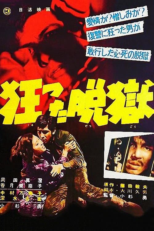 Poster for Crazy Jailbreak