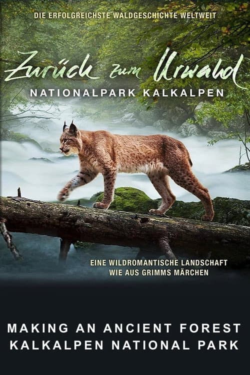 Poster for Making An Ancient Forest - Kalkalpen National Park