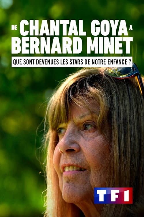 Poster for De Chantal Goya à Bernard Minet : Que sont devenues les stars de notre enfance ?
