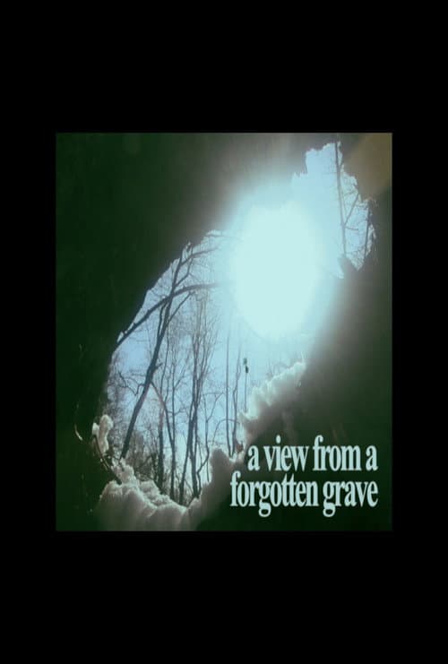 Poster for A View From A Forgotten Grave