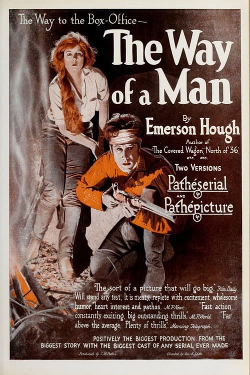 Poster for The Way of a Man