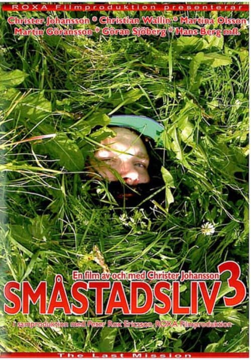 Poster for Småstadsliv 3