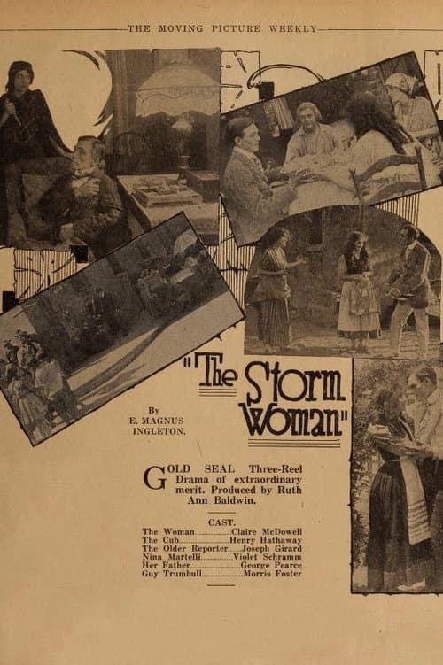 Poster for The Storm Woman