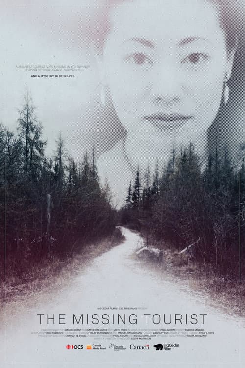 Poster for The Missing Tourist