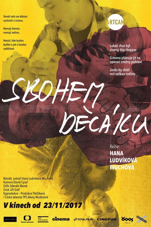 Poster for Sbohem děcáku