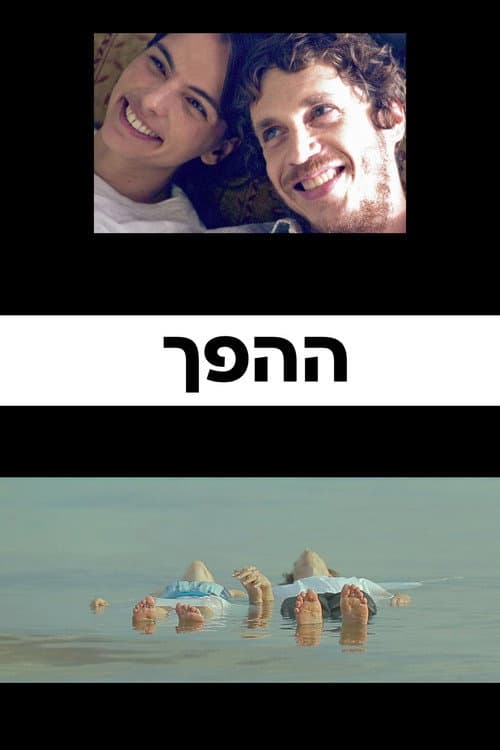 Poster for The Opposite