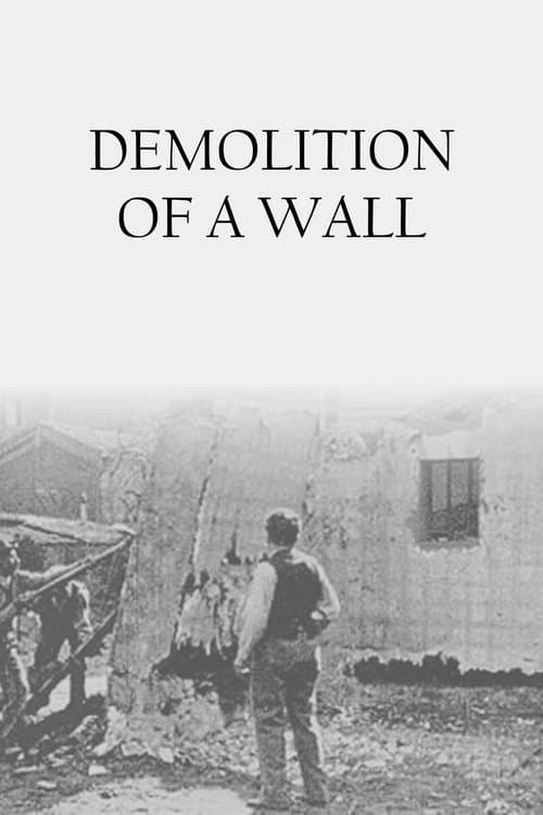 Poster for Demolition of a Wall