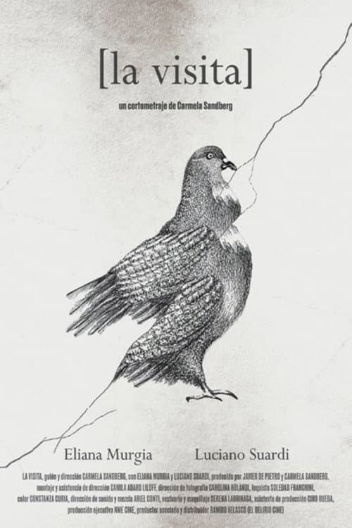 Poster for The prospect