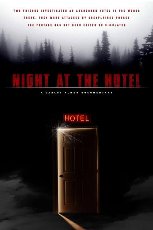 Poster for Night at the Hotel
