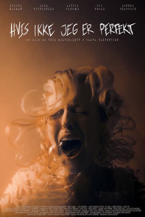 Poster for Without Perfection
