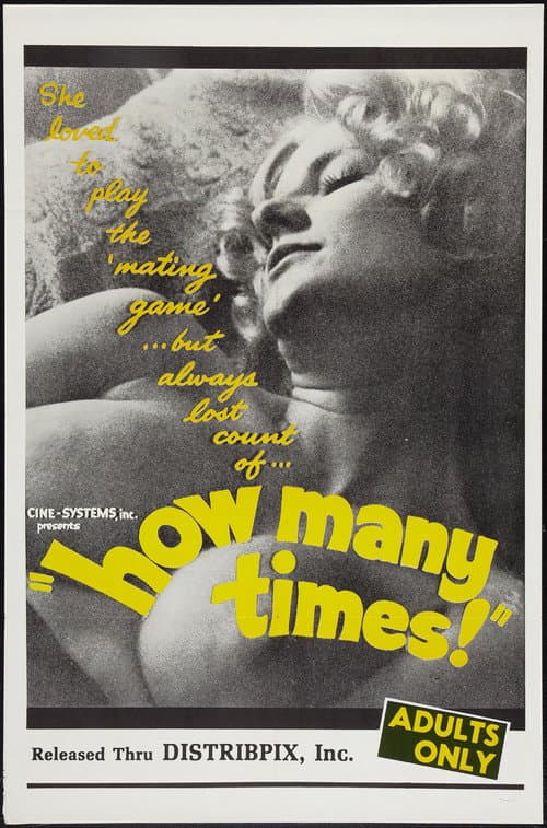 Poster for How Many Times