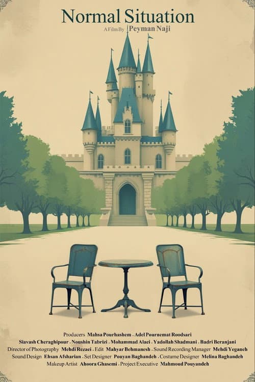 Poster for Normal Situation