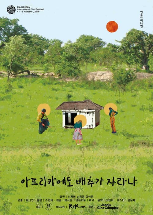 Poster for Do Cabbages Grow in Africa?