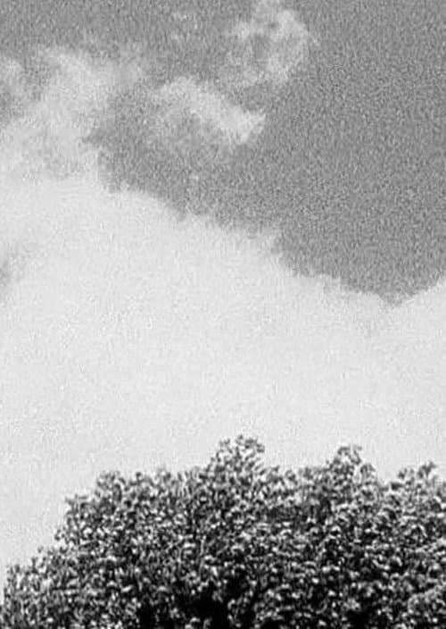 Poster for Tree & Cloud