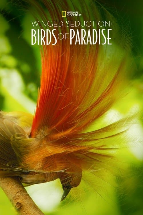 Poster for Winged Seduction: Birds of Paradise