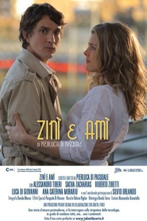 Poster for Zinì e Amì