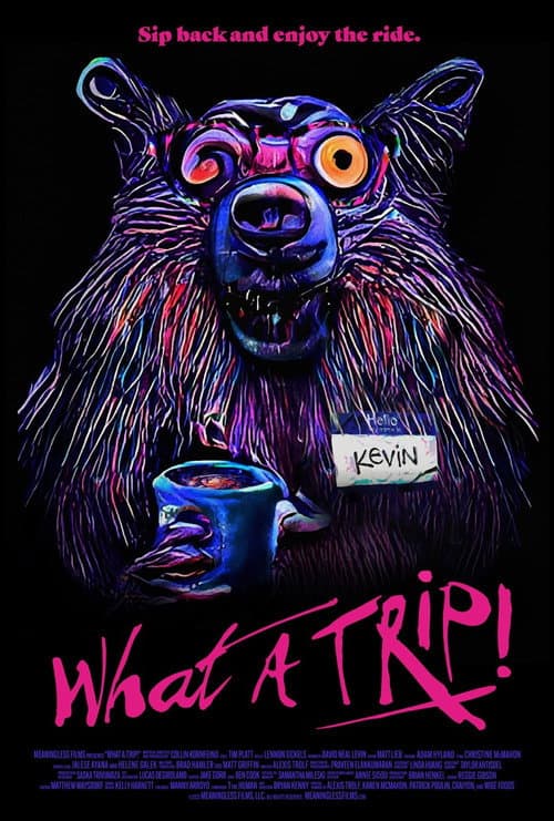 Poster for What a Trip!