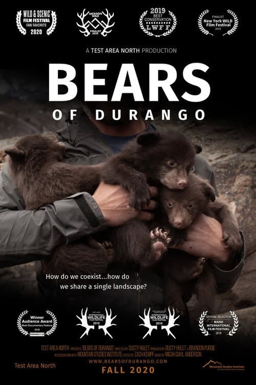 Poster for Bears of Durango