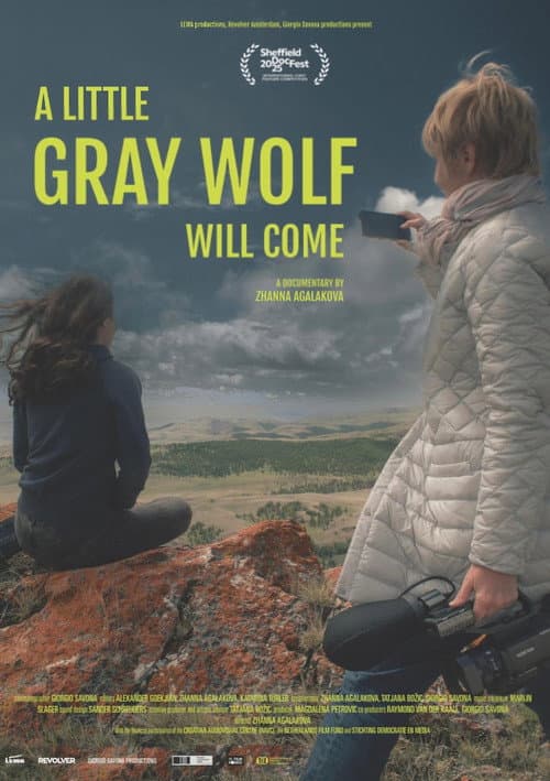 Poster for A Little Gray Wolf Will Come