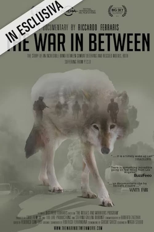 Poster for The War In Between