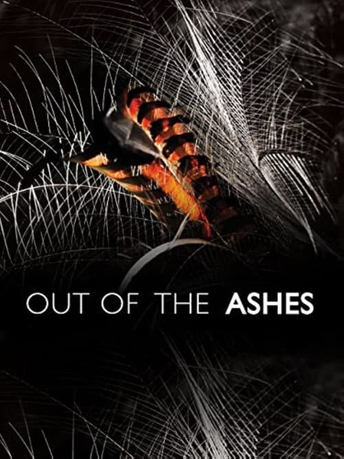 Poster for Out of the Ashes