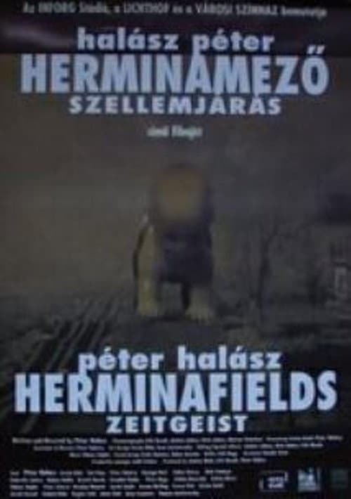 Poster for Herminafields - Zeitgeist