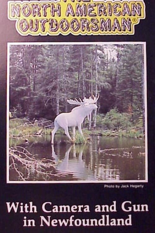 Poster for With Camera and Gun in Newfoundland
