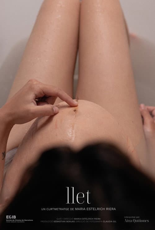 Poster for Milk