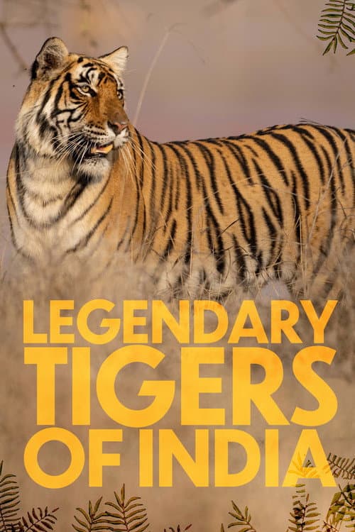 Poster for Legendary Tigers of India