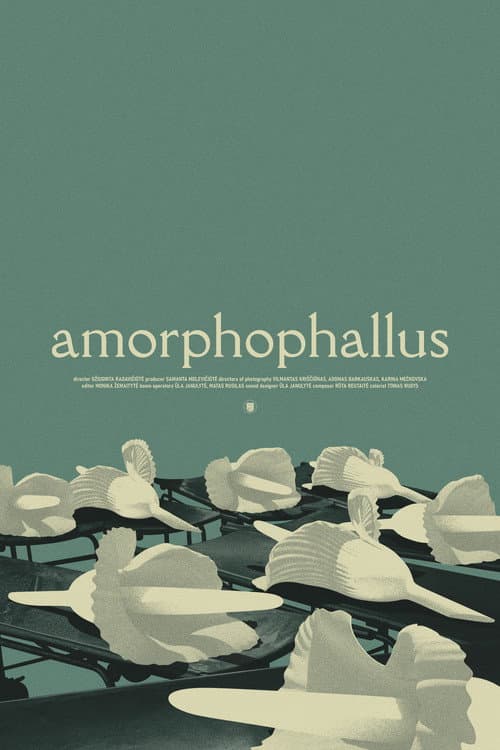 Poster for Amorphophallus
