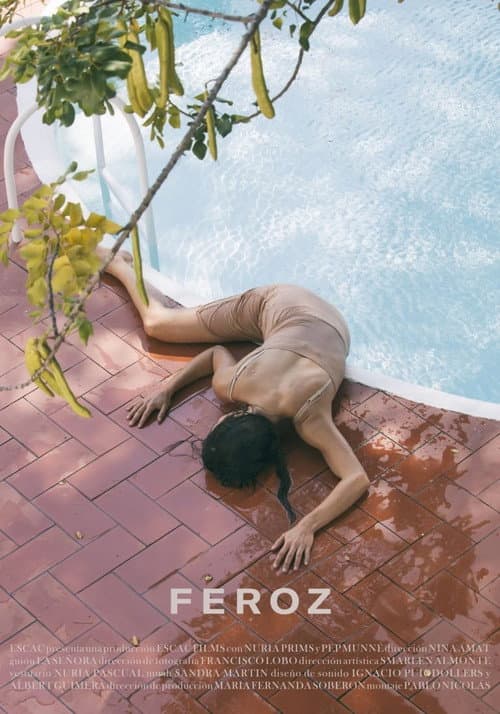 Poster for Feroz