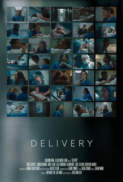 Poster for Delivery