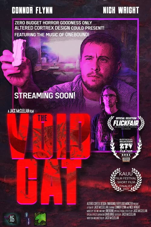Poster for The Void Cat