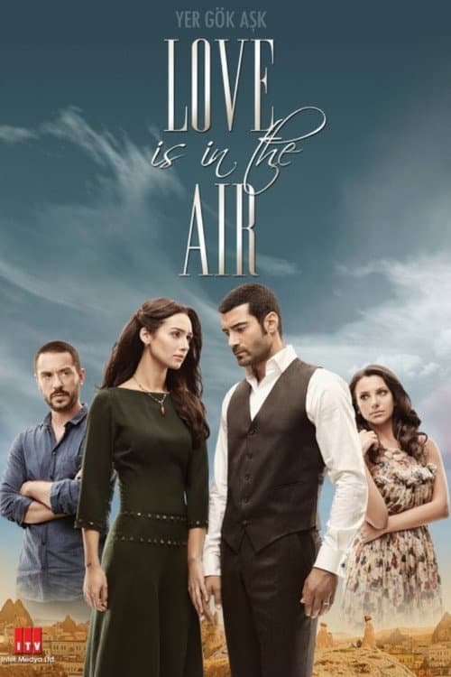 Poster for Love Is In The Air