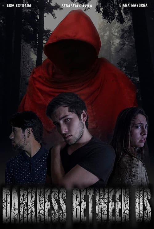 Poster for Darkness Between Us