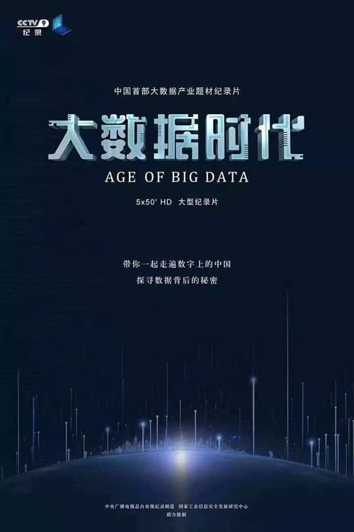 Poster for 大数据时代