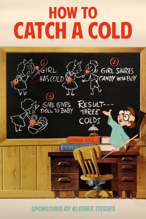 Poster for How to Catch a Cold