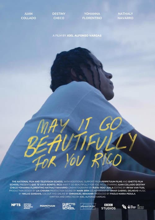 Poster for May It Go Beautifully for You, Rico