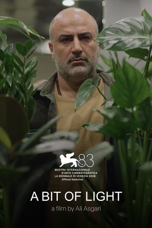 Poster for A Bit of Light
