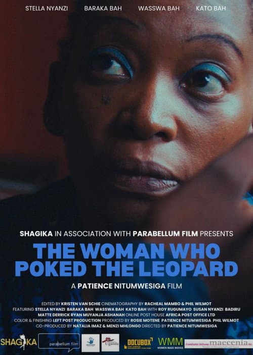 Poster for The Woman Who Poked the Leopard