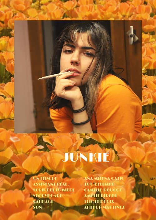 Poster for Junkie