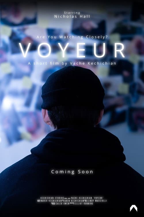 Poster for Voyeur