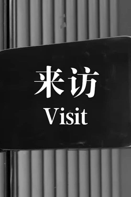 Poster for Visit