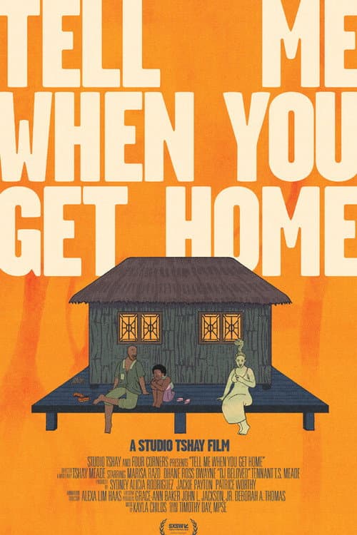 Poster for Tell Me When You Get Home