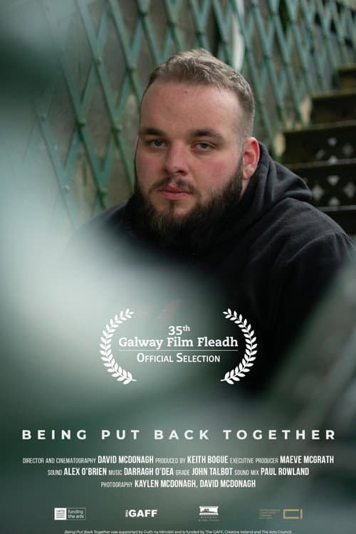 Poster for Being Put Back Together