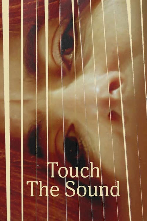 Poster for Touch the Sound